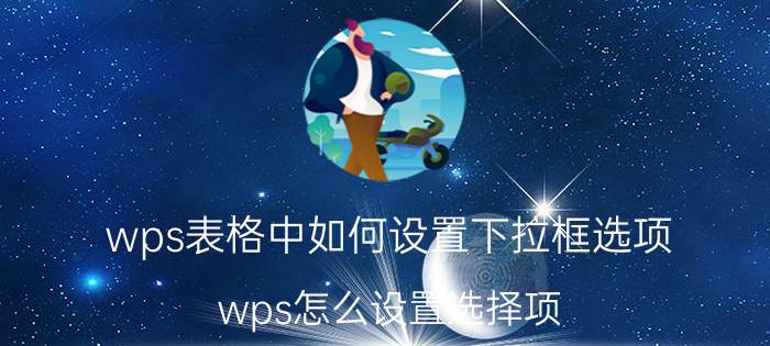 wps表格中如何设置下拉框选项 wps怎么设置选择项？